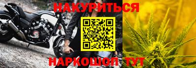 прущие грибы Моздок