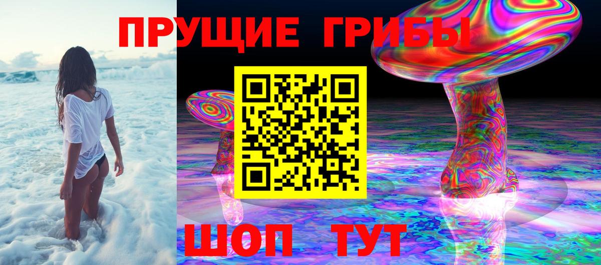 Псилоцибиновые грибы ЛСД Гулькевичи
